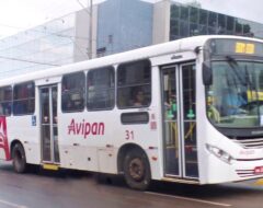 Avipan