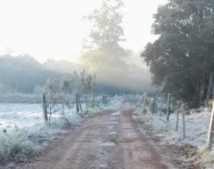 IMG-20250702-WA0062~2