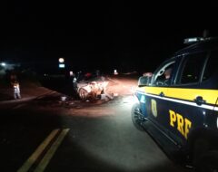 PRF_DIVULGAÇÃO